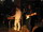 2002